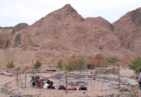 Snorkel & Camel Ride, Quad Bike Full Day In Dahab From Taba