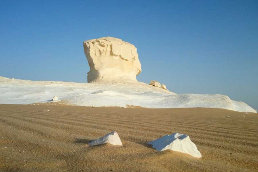 DAY TRIP TO BAHARIYA OASIS VISIT BLACK AND WHITE DESERT FROM CAIRO