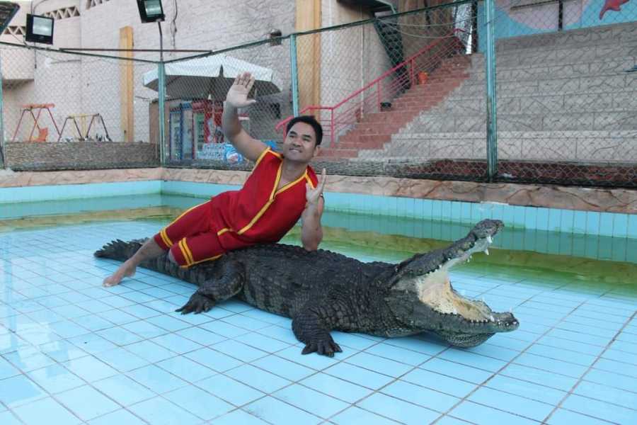 ENJOY SNAKE AND CROCODILE SHOWS WITH A SPECIAL NIGHT FIRE SHOW IN SHARM EL-SHEIKH