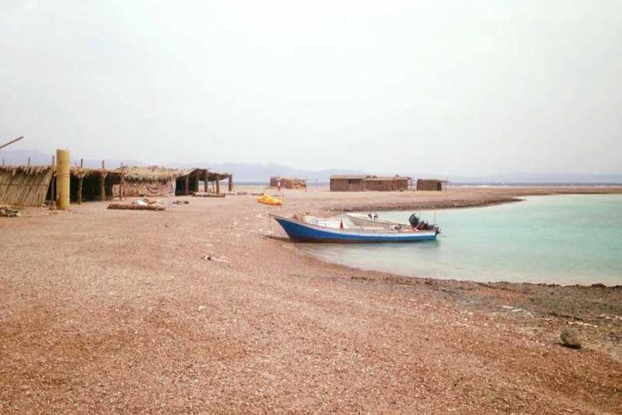 PRIVATE DAY TOUR TO BLUE LAGOON AND RAS ABU GALUM FROM DAHAB