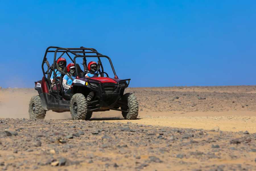 BUDGET DESERT TOURS CAR BUGGY IN SHARM EL SHEIKH