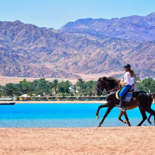 ADVENTURE SAFARI BY HORSE IN DAHAB AT LAGOON BEACH