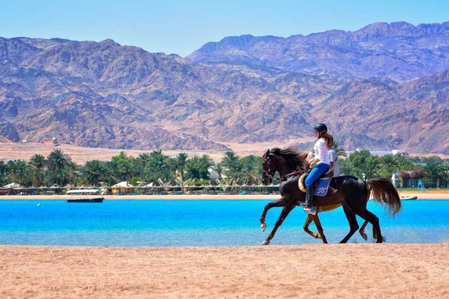 ADVENTURE SAFARI BY HORSE IN DAHAB AT LAGOON BEACH