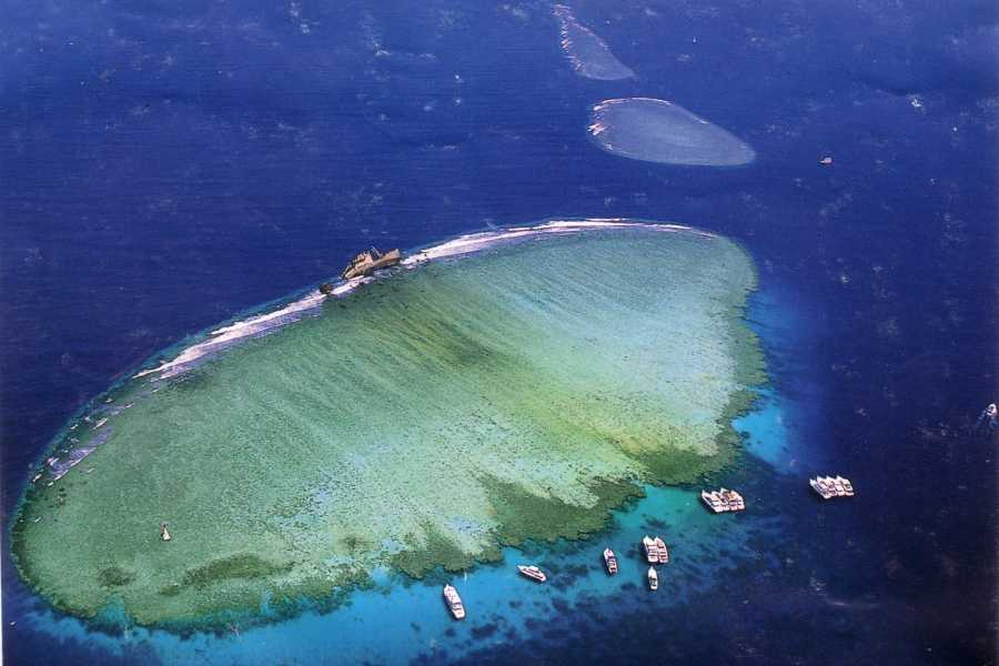 SNORKELING TRIP IN TIRAN ISLAND BY BOAT IN SHARM EL SHEIKH