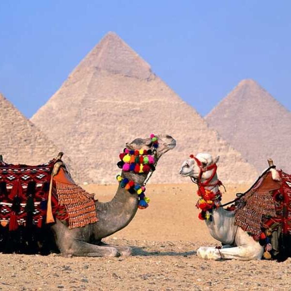 DAY TOUR TO CAIRO FROM SHARM EL SHEIK BY PLANE