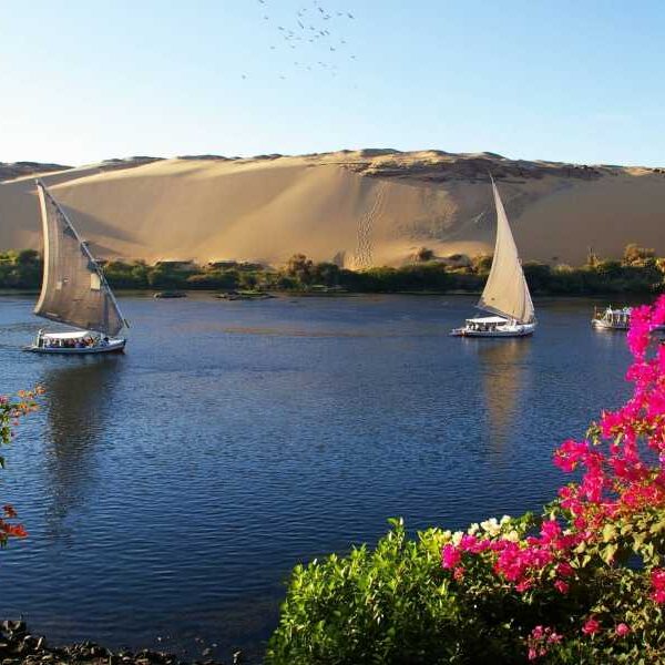 PRIVATE TOUR TO BOTANICAL GARDEN WITH FELUCCA RIDE ON ASWAN NILE RIVER