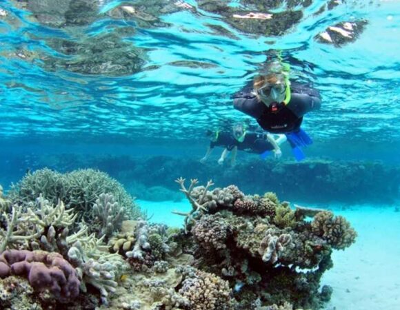 SNORKELLING TRIP IN RAS MOHAMED BY BOAT