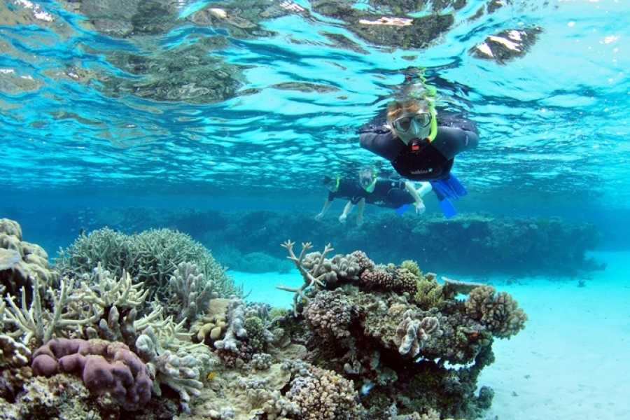 SNORKELLING TRIP IN RAS MOHAMED BY BOAT