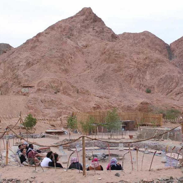 1 HOUR ATV QUAD BIKE RIDE AT DAHAB