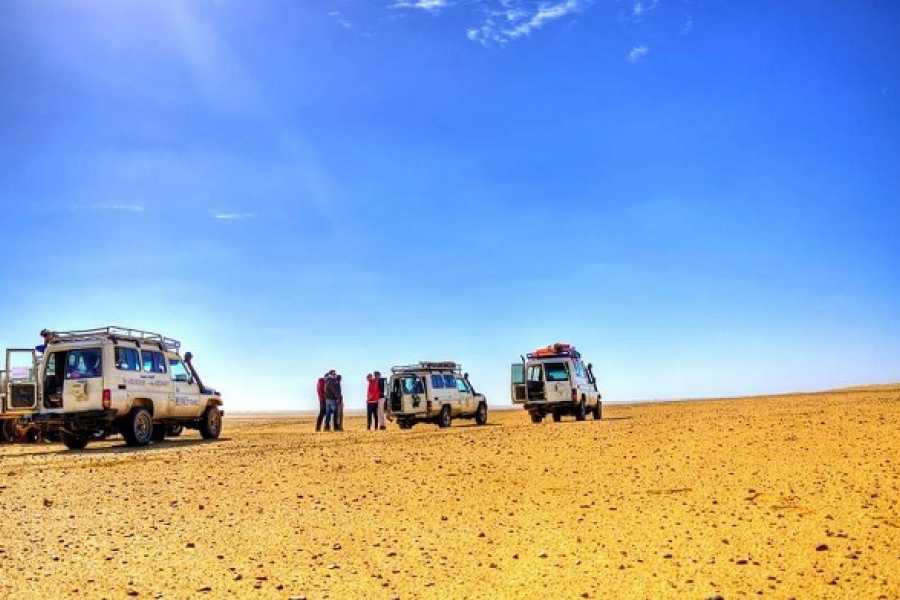 BUDGET LUXOR BEDOUIN DESERT SAFARI TOURS BY QUAD BIKE ( ATV )