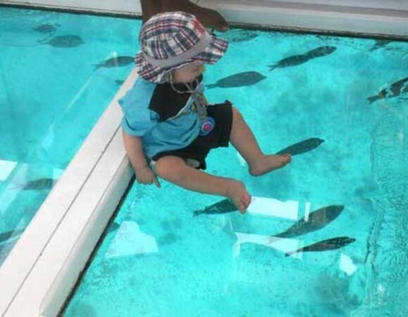 GLASS BOTTOM BOAT IN SHARM EL SHEIKH