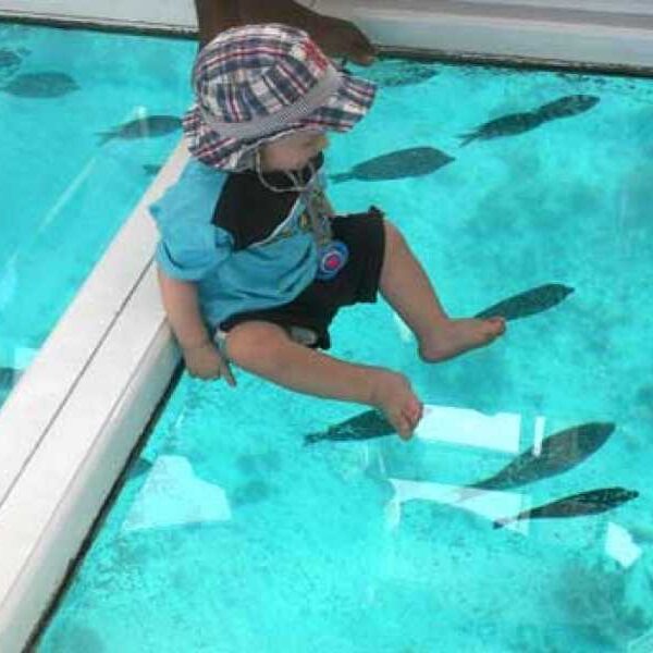 GLASS BOTTOM BOAT IN SHARM EL SHEIKH