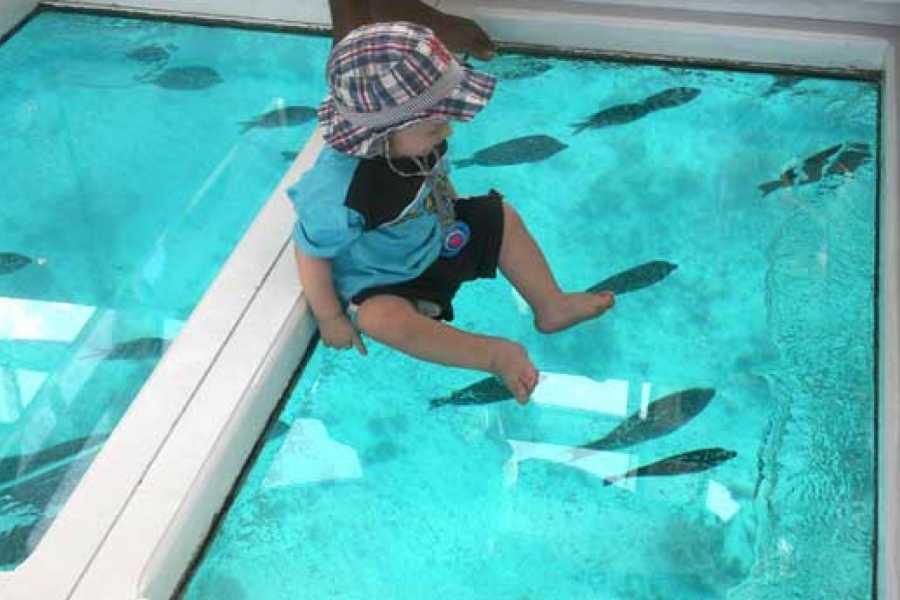 GLASS BOTTOM BOAT IN SHARM EL SHEIKH