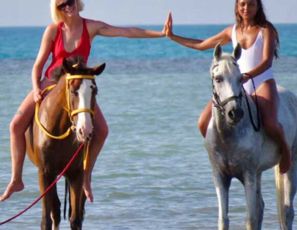 ADVENTURE SAFARI BY HORSE IN HURGHADA DUIRING SUNSET OR SUNRISE