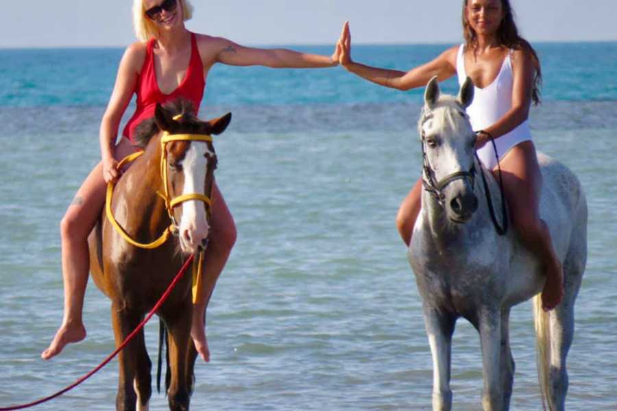 ADVENTURE SAFARI BY HORSE IN HURGHADA DUIRING SUNSET OR SUNRISE